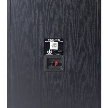 BIC America RtR® Series RtR 1530 15-In. Indoor 3-Way Tower Speaker, 325 Watts, Black