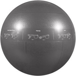 GoFit® Pro Grade Stability Guide Ball with Pump (75cm; Silver)
