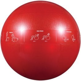 GoFit® Pro Grade Stability Guide Ball with Pump (65cm; Red)
