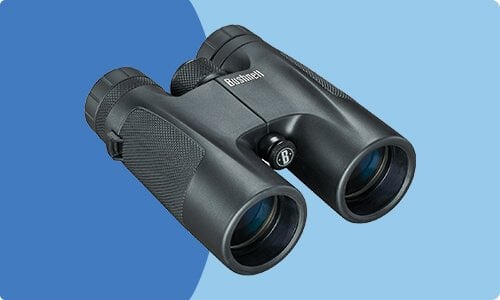 Out Fit Binoculars