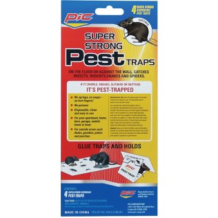 PIC® Glue Pest Trap for Spiders & Snakes, 4 pk