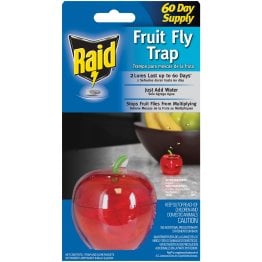 Raid® Apple Fruit Fly Trap (1 Pack)