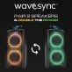 Dolphin® Audio 10-Inch Dual Rechargeable Party Speaker®
