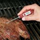 Escali® Gourmet Digital Thermometer (Red)