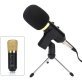 Blackmore Pro Audio BMP-21 USB Cardioid Condenser Microphone